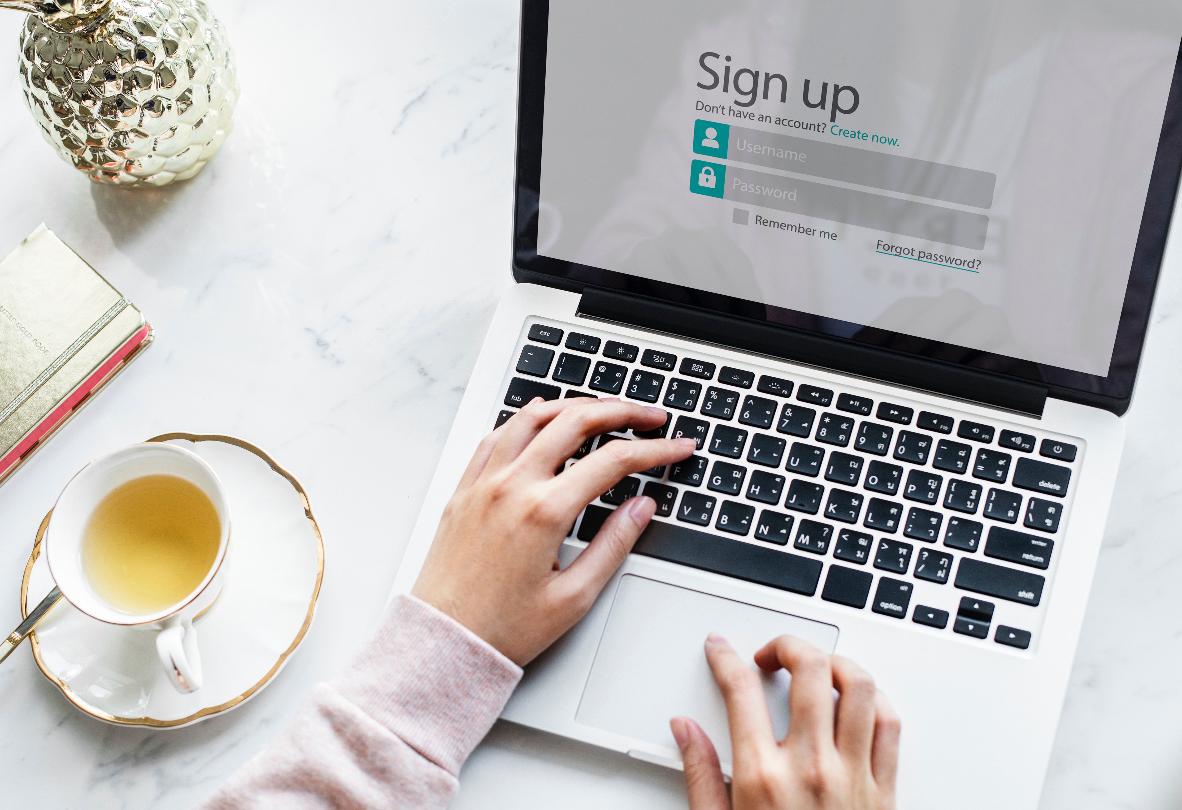Password Security Attacks