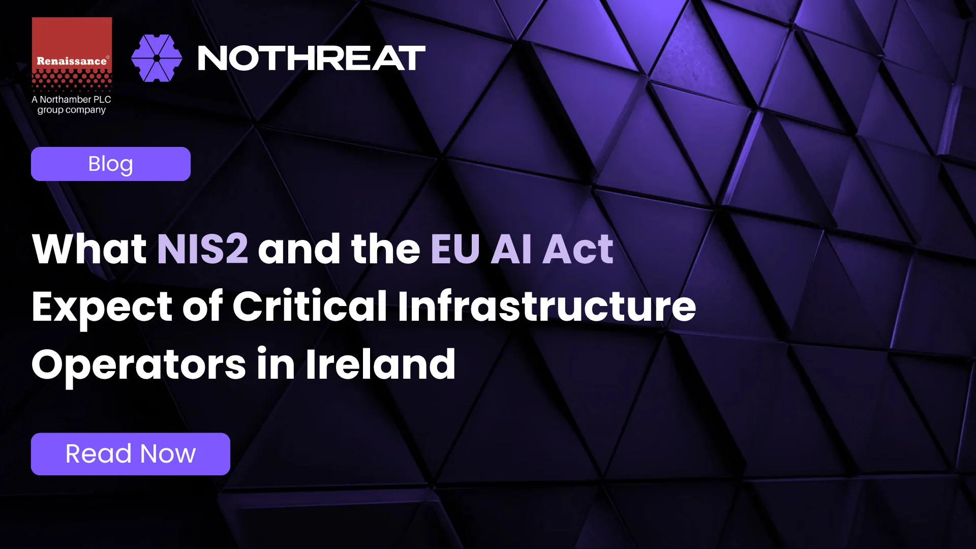 What NIS2 and the EU AI Act Expect of Critical Infrastructure Operators in Ireland